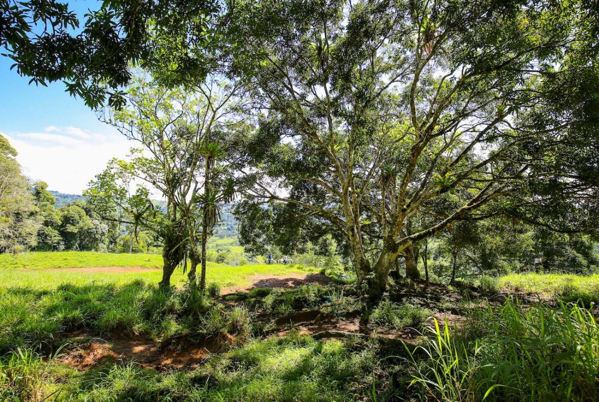 NATURAL PLAYGROUND – WATERFALL PROPERTY WITH SWIMMING HOLES AND SELF SUSTAINABILITY POTENCIAL  – 128 ACRES