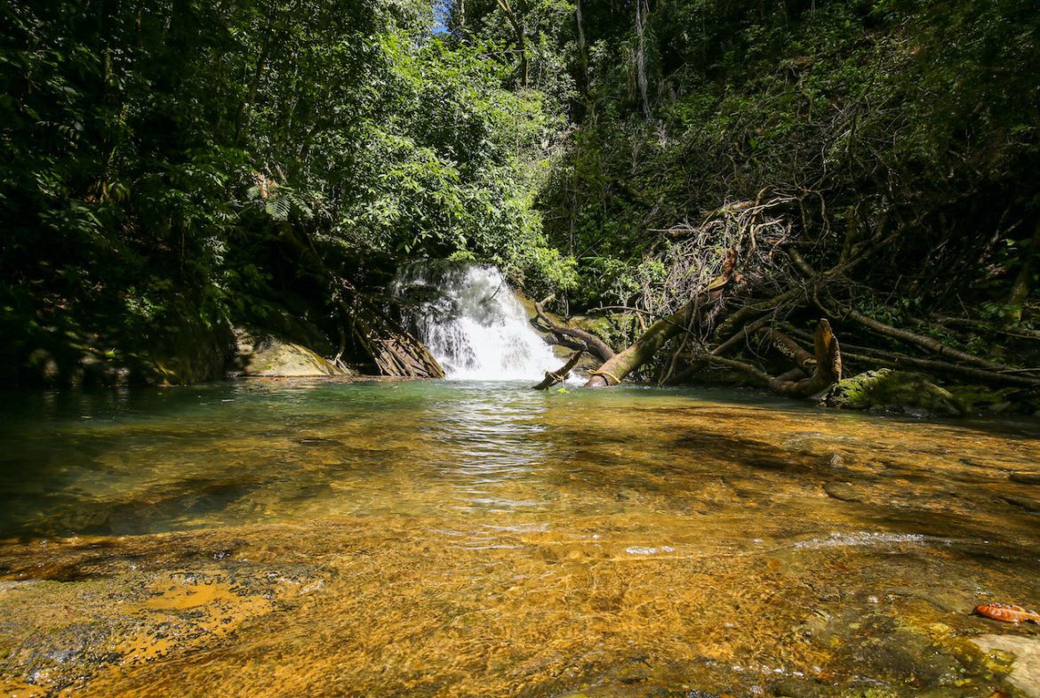 NATURAL PLAYGROUND – WATERFALL PROPERTY WITH SWIMMING HOLES AND SELF SUSTAINABILITY POTENCIAL  – 128 ACRES