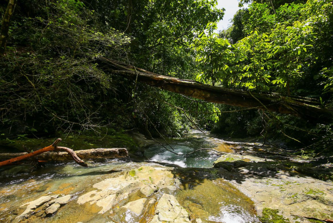 NATURAL PLAYGROUND – WATERFALL PROPERTY WITH SWIMMING HOLES AND SELF SUSTAINABILITY POTENCIAL  – 128 ACRES