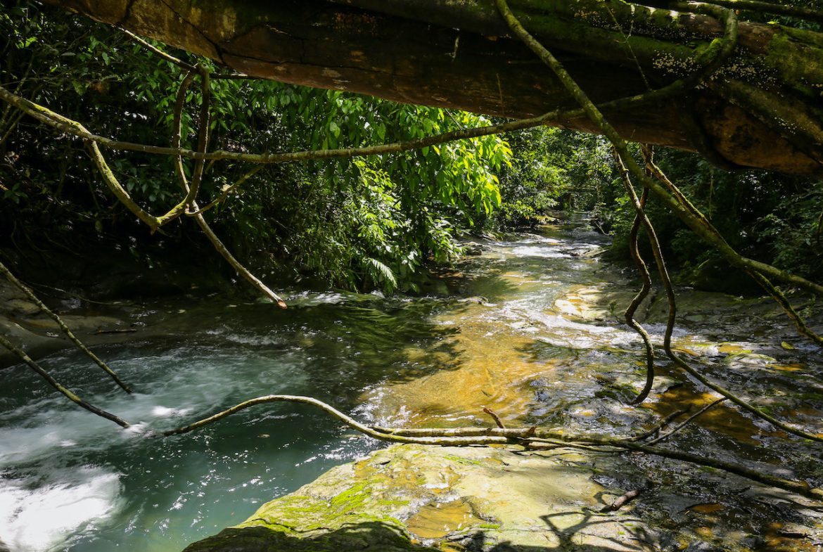 NATURAL PLAYGROUND – WATERFALL PROPERTY WITH SWIMMING HOLES AND SELF SUSTAINABILITY POTENCIAL  – 128 ACRES