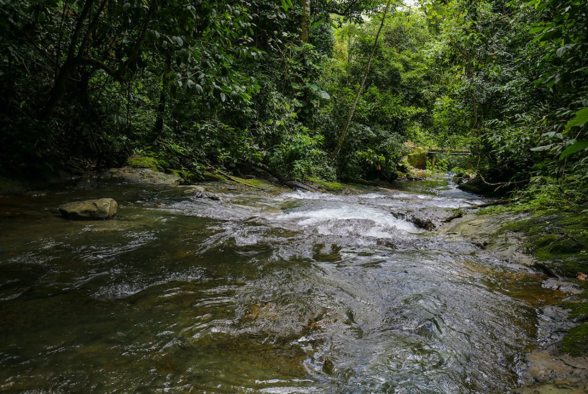NATURAL PLAYGROUND – WATERFALL PROPERTY WITH SWIMMING HOLES AND SELF SUSTAINABILITY POTENCIAL  – 128 ACRES