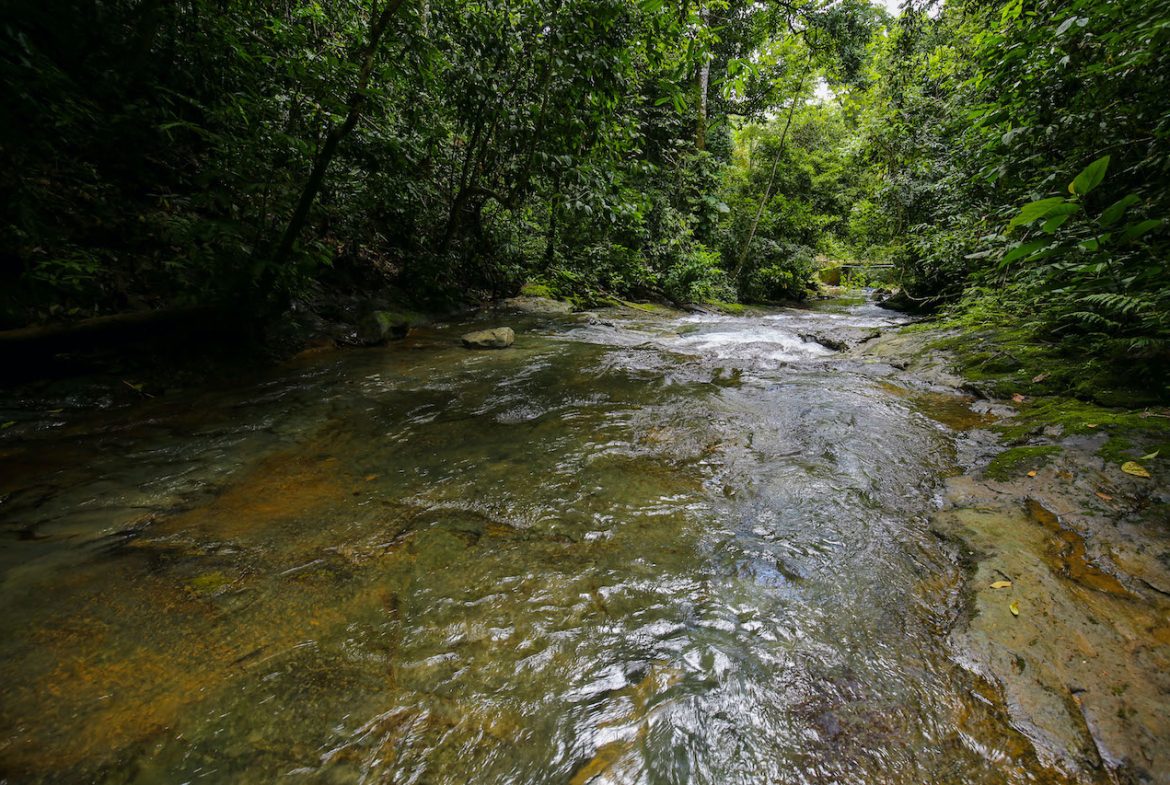 NATURAL PLAYGROUND – WATERFALL PROPERTY WITH SWIMMING HOLES AND SELF SUSTAINABILITY POTENCIAL  – 128 ACRES