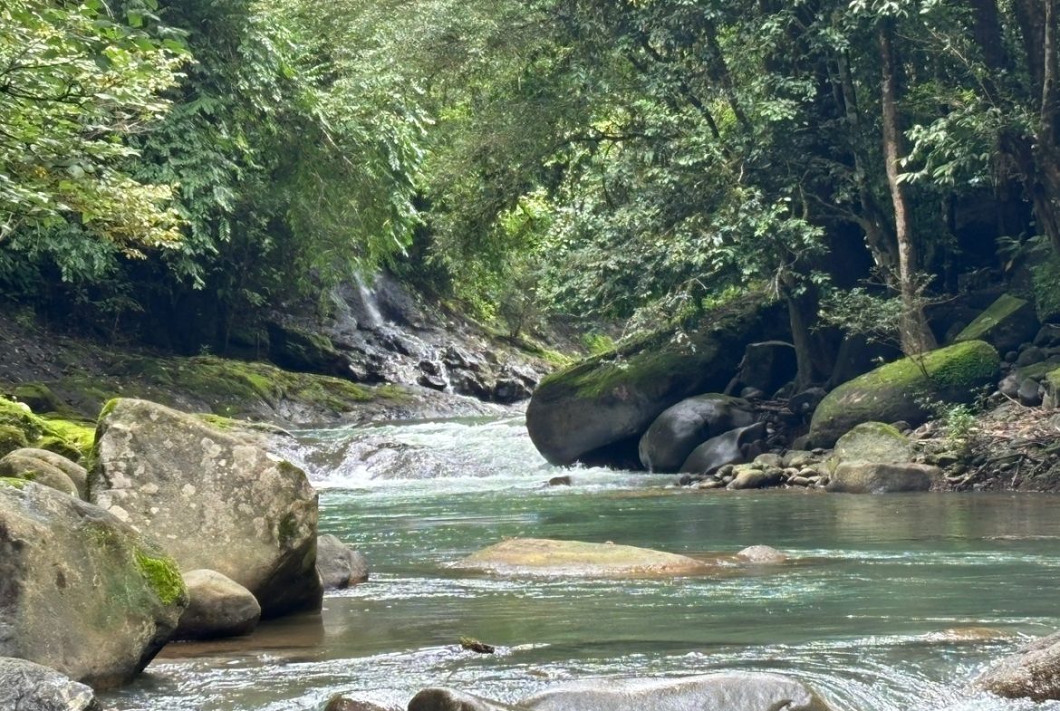 3-BEDROOM MOUNTAIN VIEW HOME WITH NATURE AND RIVER AROUND – 14 ACRES, Uvita, Costa Rica — photo 8