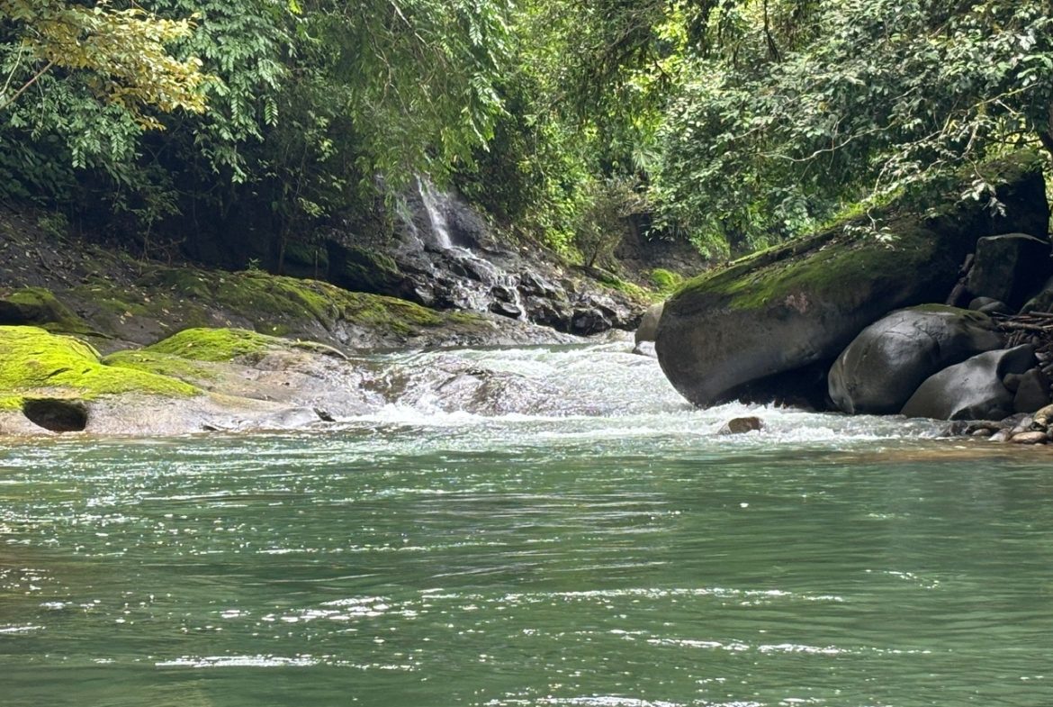 3-BEDROOM MOUNTAIN VIEW HOME WITH NATURE AND RIVER AROUND – 14 ACRES