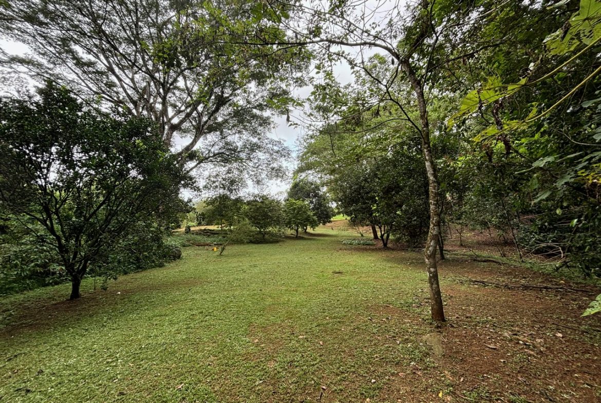 3-BEDROOM MOUNTAIN VIEW HOME WITH NATURE AND RIVER AROUND – 14 ACRES