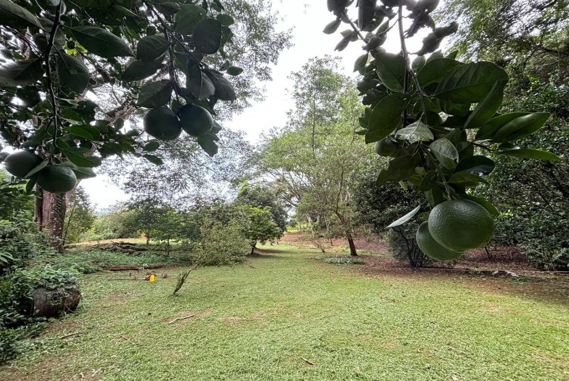 3-BEDROOM MOUNTAIN VIEW HOME WITH NATURE AND RIVER AROUND – 14 ACRES