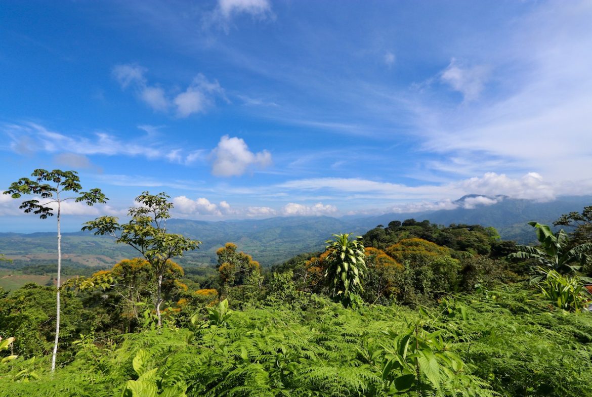 BREATHTAKING MOUNTAIN, JUNGLE, VALLEY, AND OCEAN VIEWS FARM – 22.46 ACRES