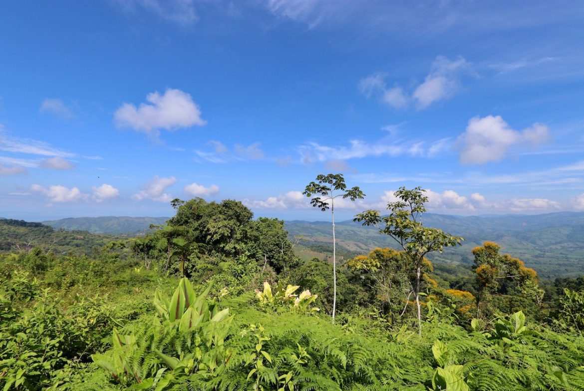 BREATHTAKING MOUNTAIN, JUNGLE, VALLEY, AND OCEAN VIEWS FARM – 22.46 ACRES