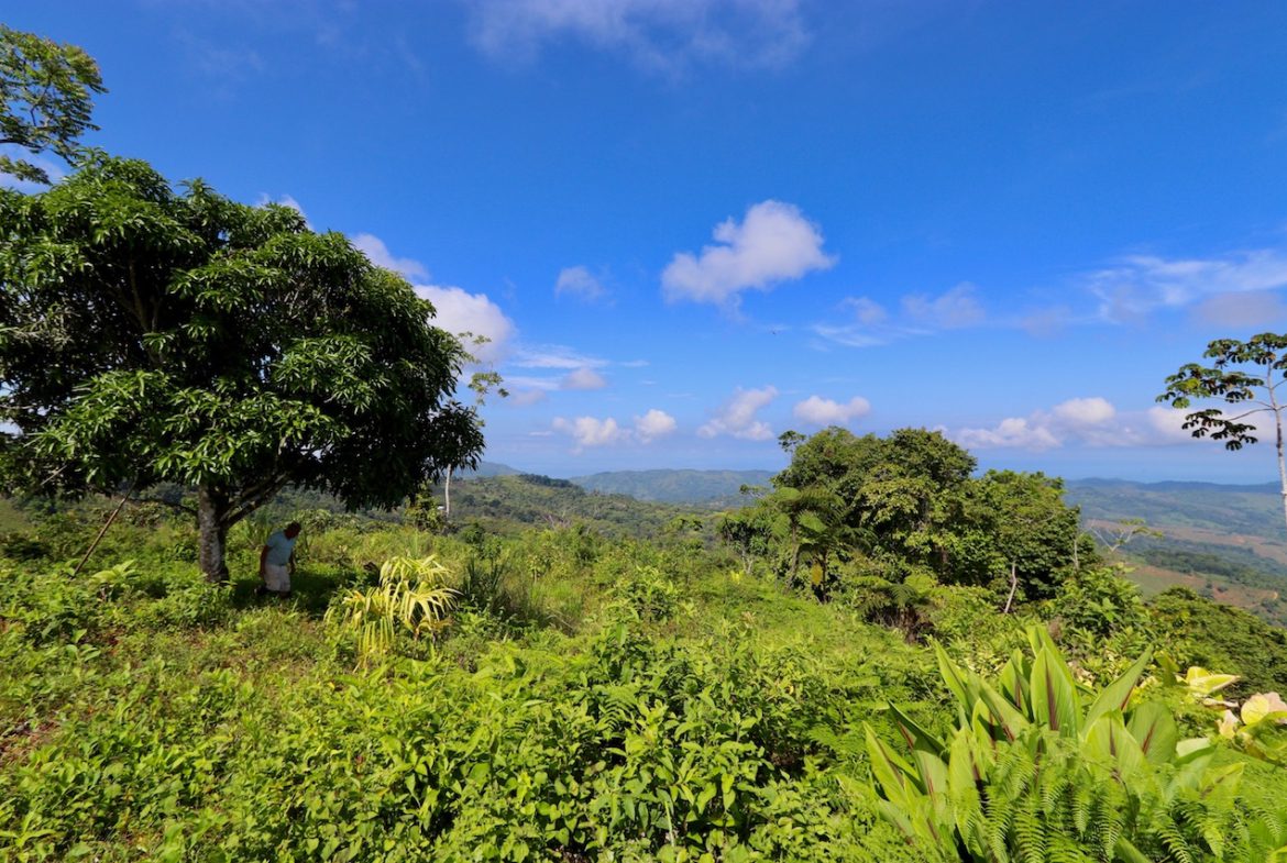 BREATHTAKING MOUNTAIN, JUNGLE, VALLEY, AND OCEAN VIEWS FARM – 22.46 ACRES