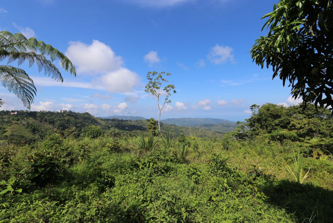 BREATHTAKING MOUNTAIN, JUNGLE, VALLEY, AND OCEAN VIEWS FARM – 22.46 ACRES