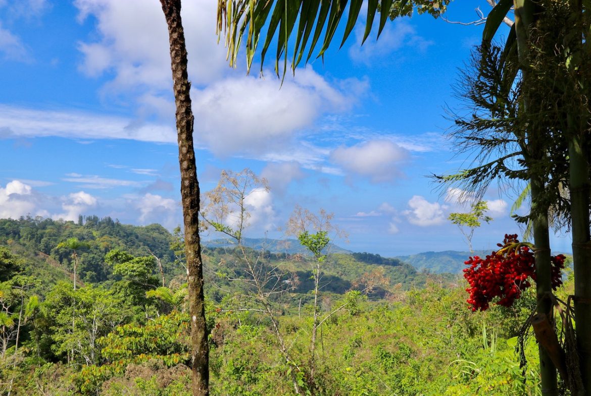 BREATHTAKING MOUNTAIN, JUNGLE, VALLEY, AND OCEAN VIEWS FARM – 22.46 ACRES