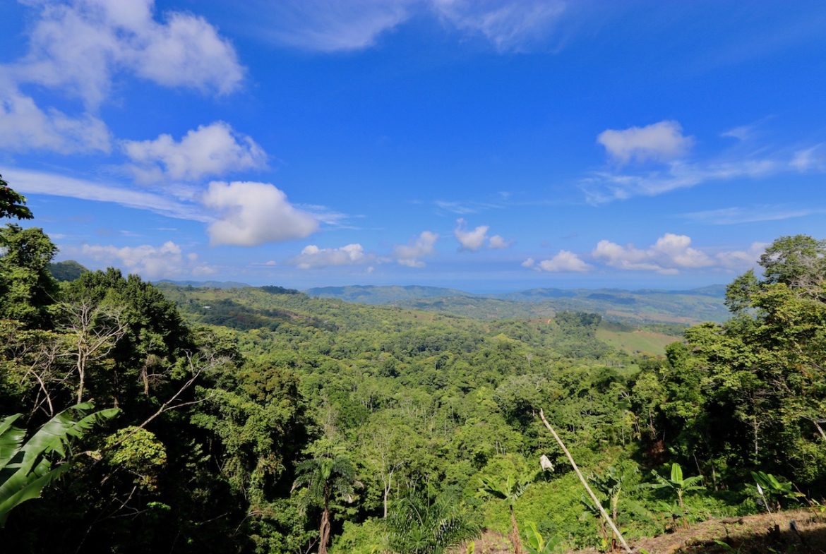 BREATHTAKING MOUNTAIN, JUNGLE, VALLEY, AND OCEAN VIEWS FARM – 22.46 ACRES