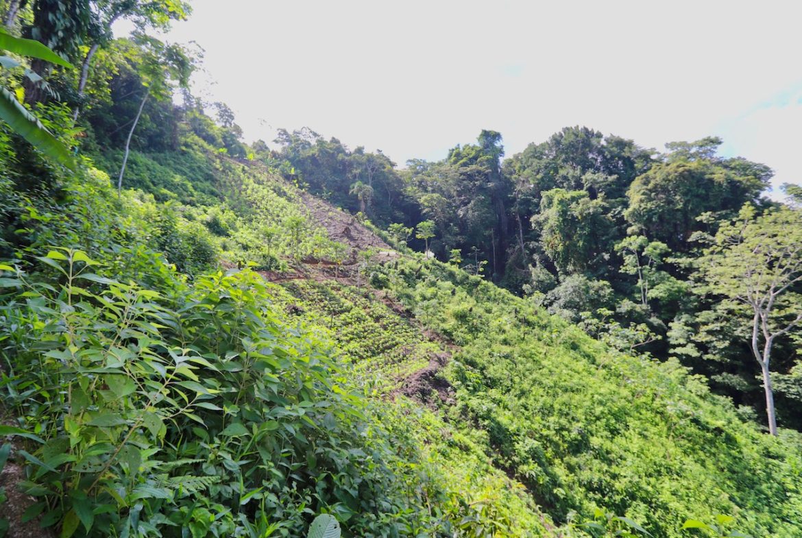 BREATHTAKING MOUNTAIN, JUNGLE, VALLEY, AND OCEAN VIEWS FARM – 22.46 ACRES