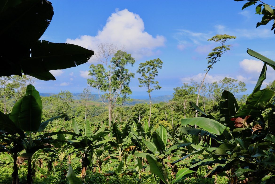 BREATHTAKING MOUNTAIN, JUNGLE, VALLEY, AND OCEAN VIEWS FARM – 22.46 ACRES