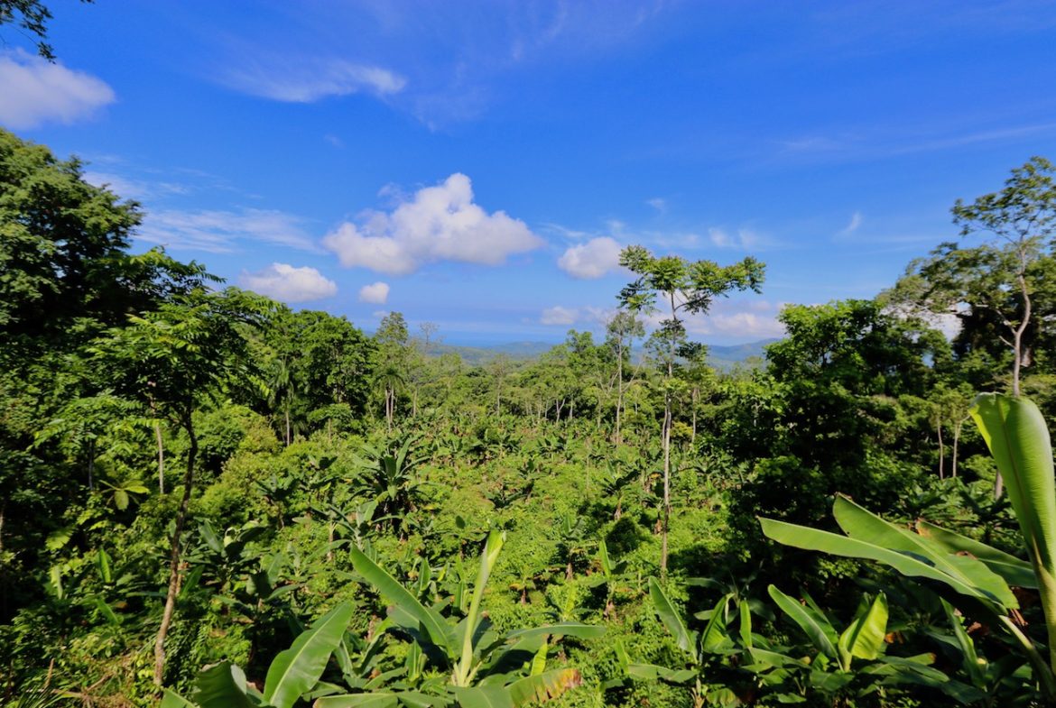 BREATHTAKING MOUNTAIN, JUNGLE, VALLEY, AND OCEAN VIEWS FARM – 22.46 ACRES