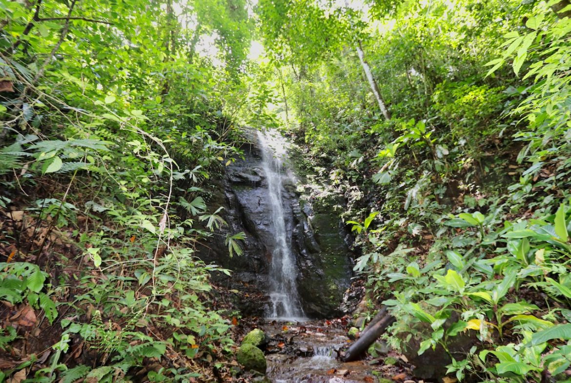 BREATHTAKING MOUNTAIN, JUNGLE, VALLEY, AND OCEAN VIEWS FARM – 22.46 ACRES