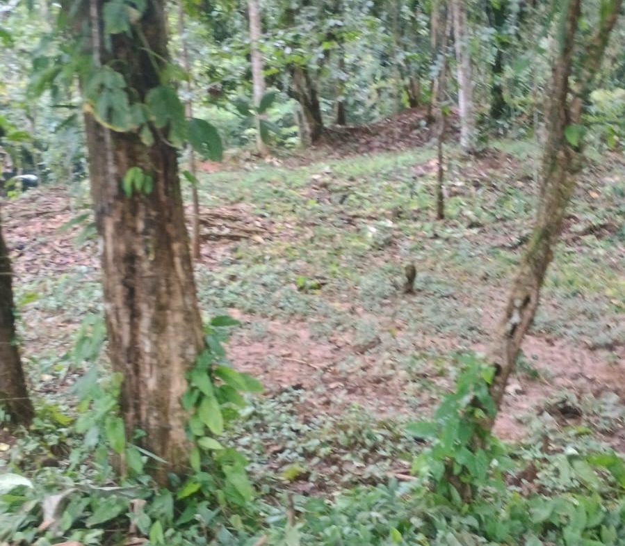 17 ACRES PROPERTY WITH WATERFALL ACCESS