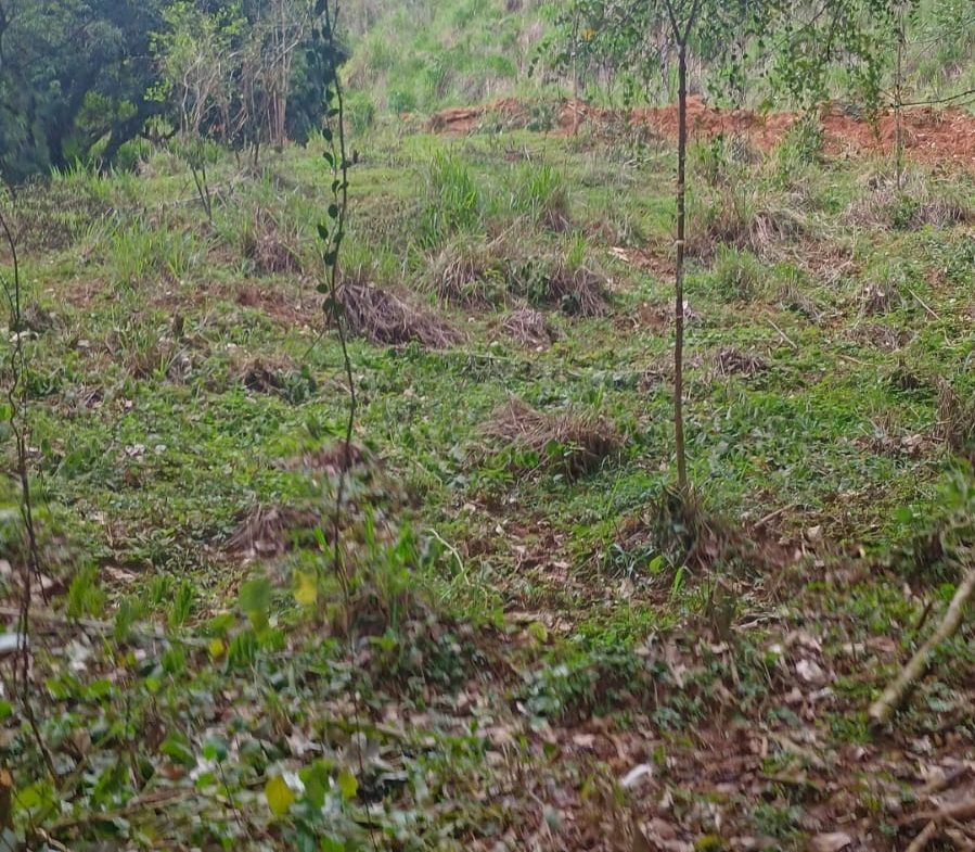 17 ACRES PROPERTY WITH WATERFALL ACCESS
