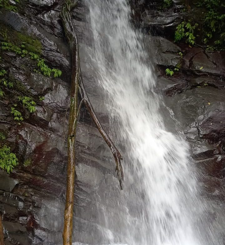 17 ACRES PROPERTY WITH WATERFALL ACCESS