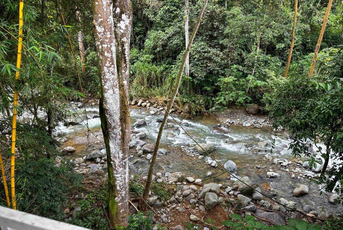 LUXURIOUS 4 BEDROOM HOME PLUS GUEST HOUSE WITH JUNGLE AND RIVER – 1.44 ACRES