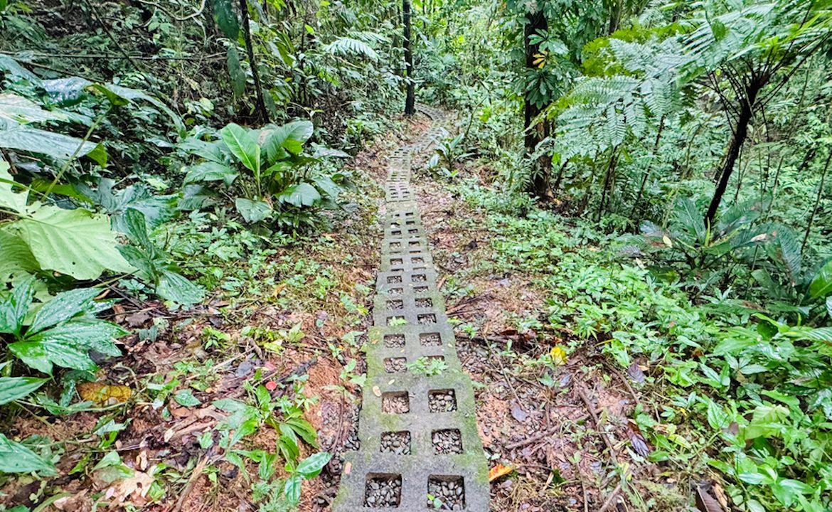 OCEAN VIEW HOME IN ESCALERAS NEAR DOMINICAL – 1.77 ACRES