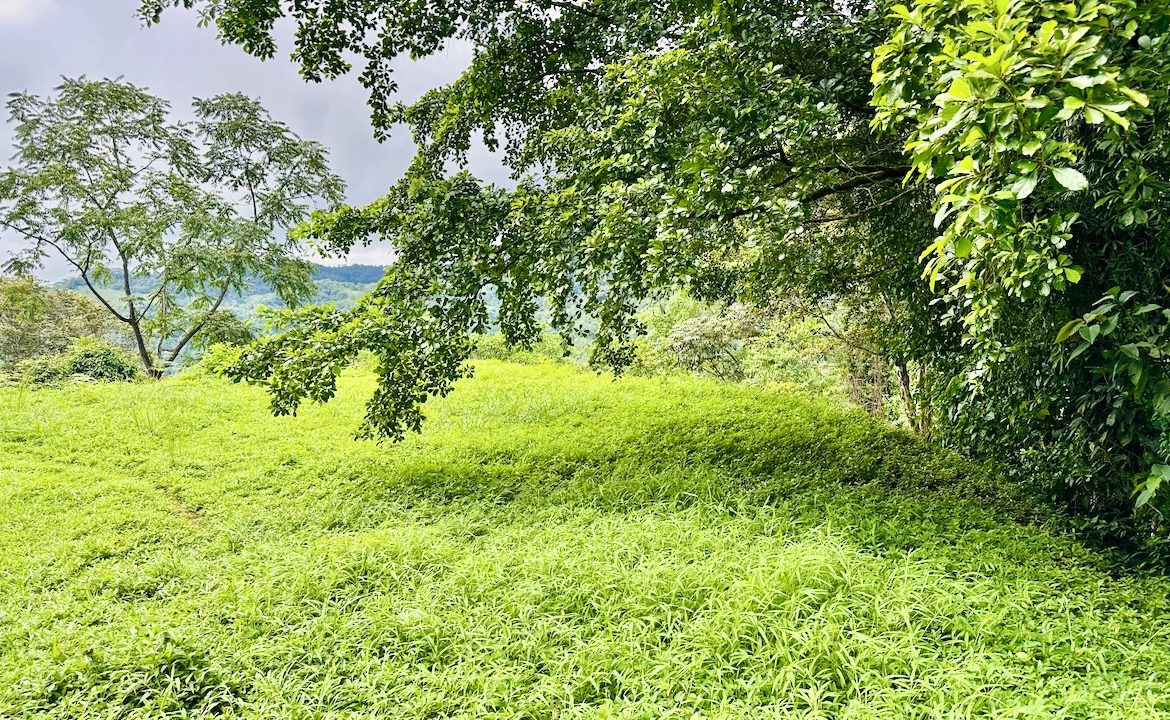 PRIVATE OCEAN & MOUNTAIN VIEW LOT IN GATED COMMUNITY – 4.16 ACRES