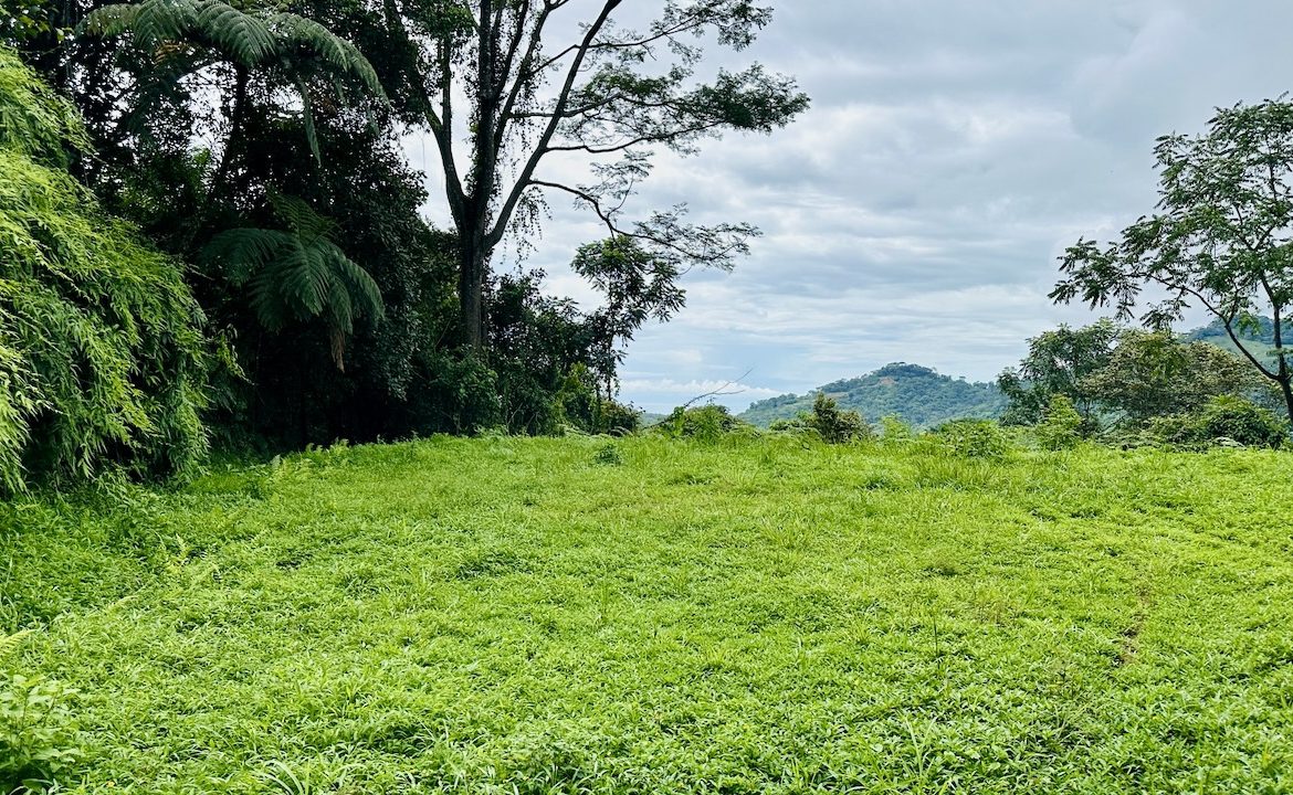PRIVATE OCEAN & MOUNTAIN VIEW LOT IN GATED COMMUNITY – 4.16 ACRES