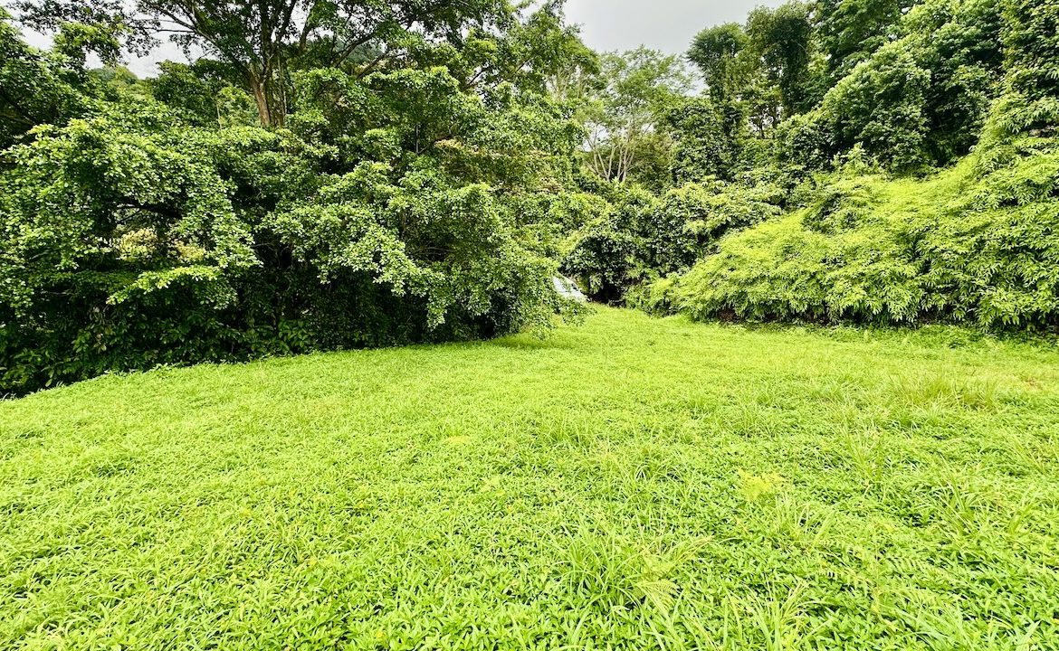 PRIVATE OCEAN & MOUNTAIN VIEW LOT IN GATED COMMUNITY – 4.16 ACRES
