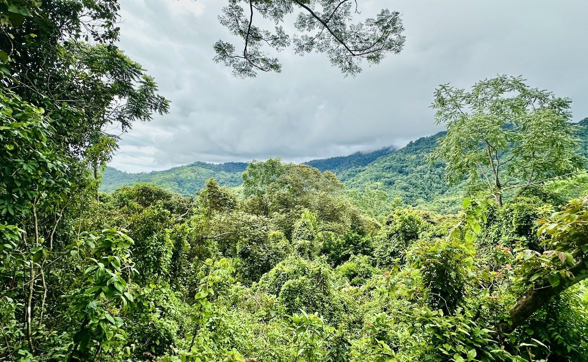 PRIVATE OCEAN & MOUNTAIN VIEW LOT IN GATED COMMUNITY – 4.16 ACRES