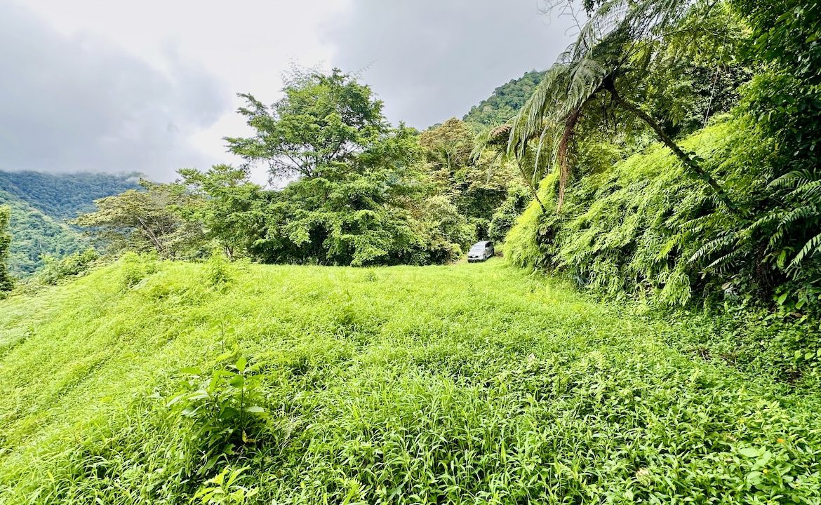 PRIVATE OCEAN & MOUNTAIN VIEW LOT IN GATED COMMUNITY – 4.16 ACRES