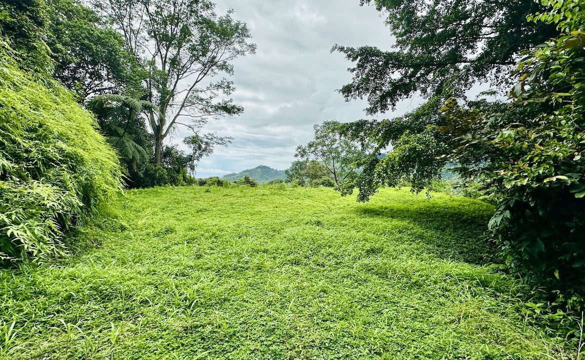 PRIVATE OCEAN & MOUNTAIN VIEW LOT IN GATED COMMUNITY – 4.16 ACRES