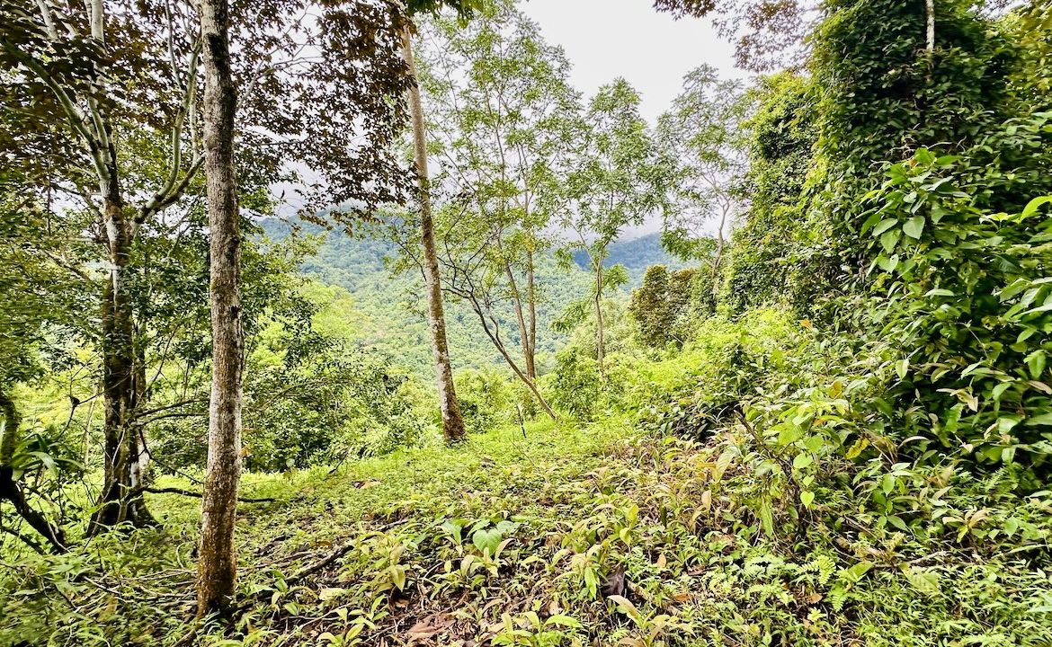 PRIVATE OCEAN & MOUNTAIN VIEW LOT IN GATED COMMUNITY – 4.16 ACRES