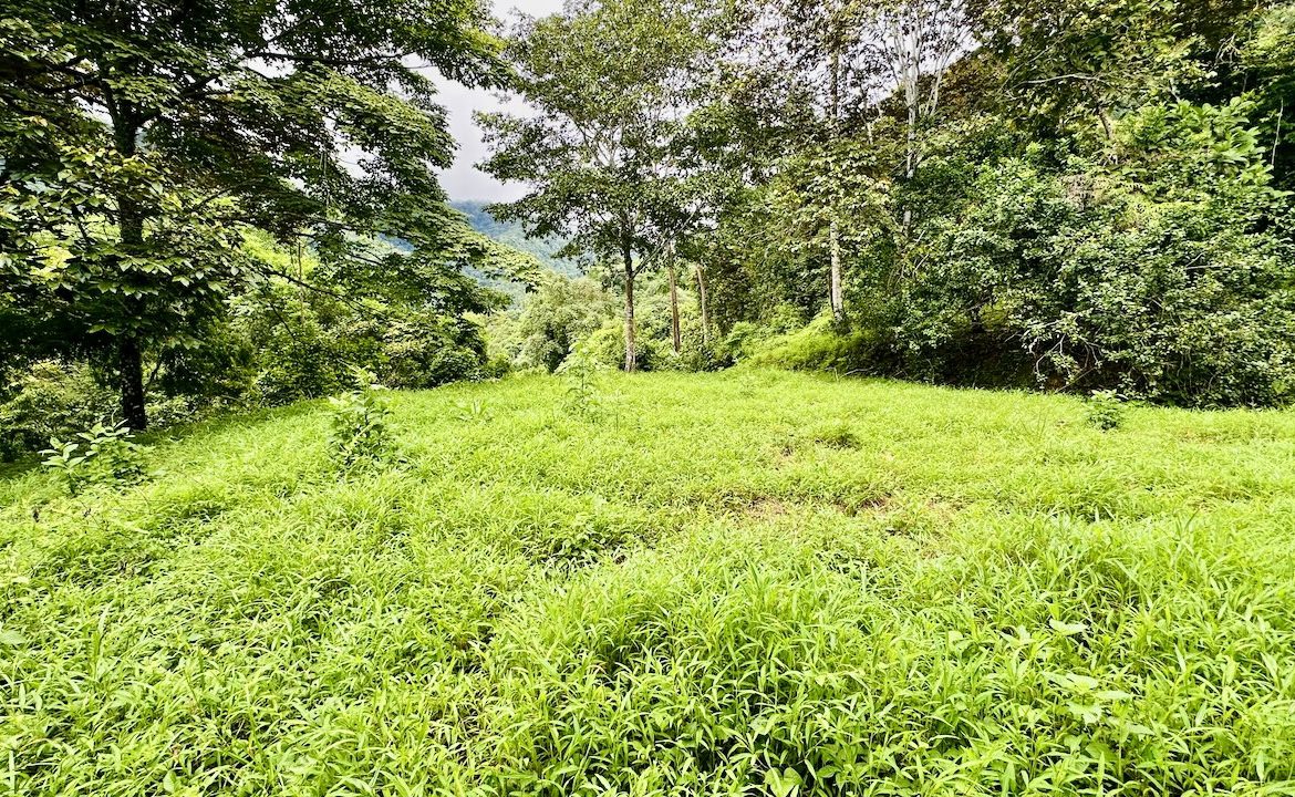 PRIVATE OCEAN & MOUNTAIN VIEW LOT IN GATED COMMUNITY – 4.16 ACRES