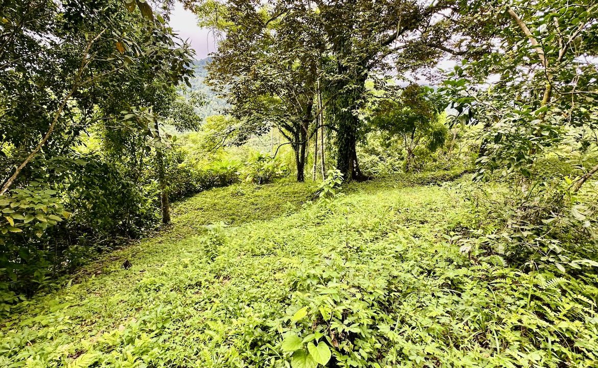 PRIVATE OCEAN & MOUNTAIN VIEW LOT IN GATED COMMUNITY – 4.16 ACRES