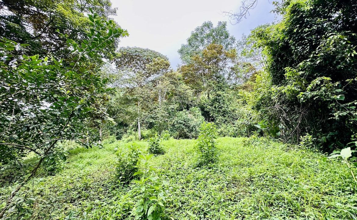 PRIVATE OCEAN & MOUNTAIN VIEW LOT IN GATED COMMUNITY – 4.16 ACRES
