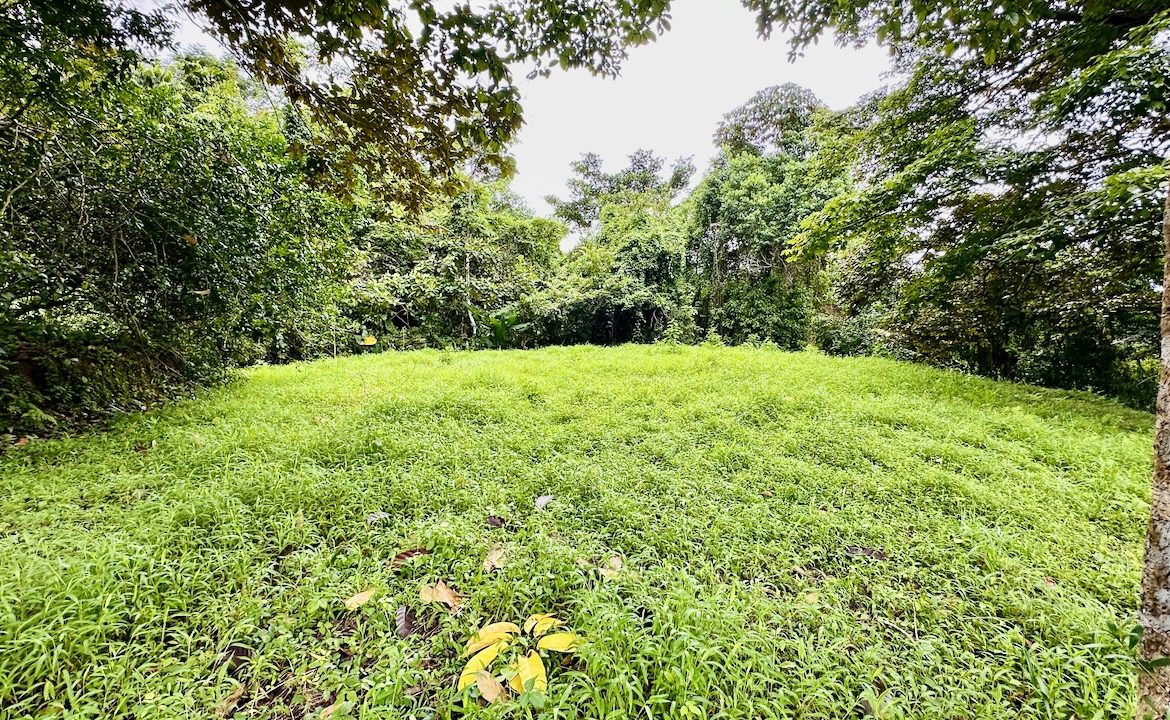PRIVATE OCEAN & MOUNTAIN VIEW LOT IN GATED COMMUNITY – 4.16 ACRES