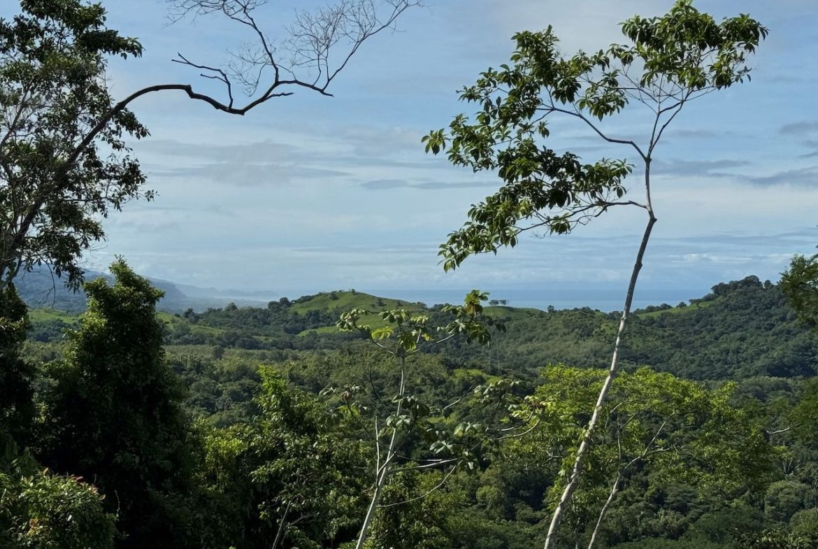 OCEAN VIEW LOT IN GATED COMMUNITY  – 3.73 ACRES
