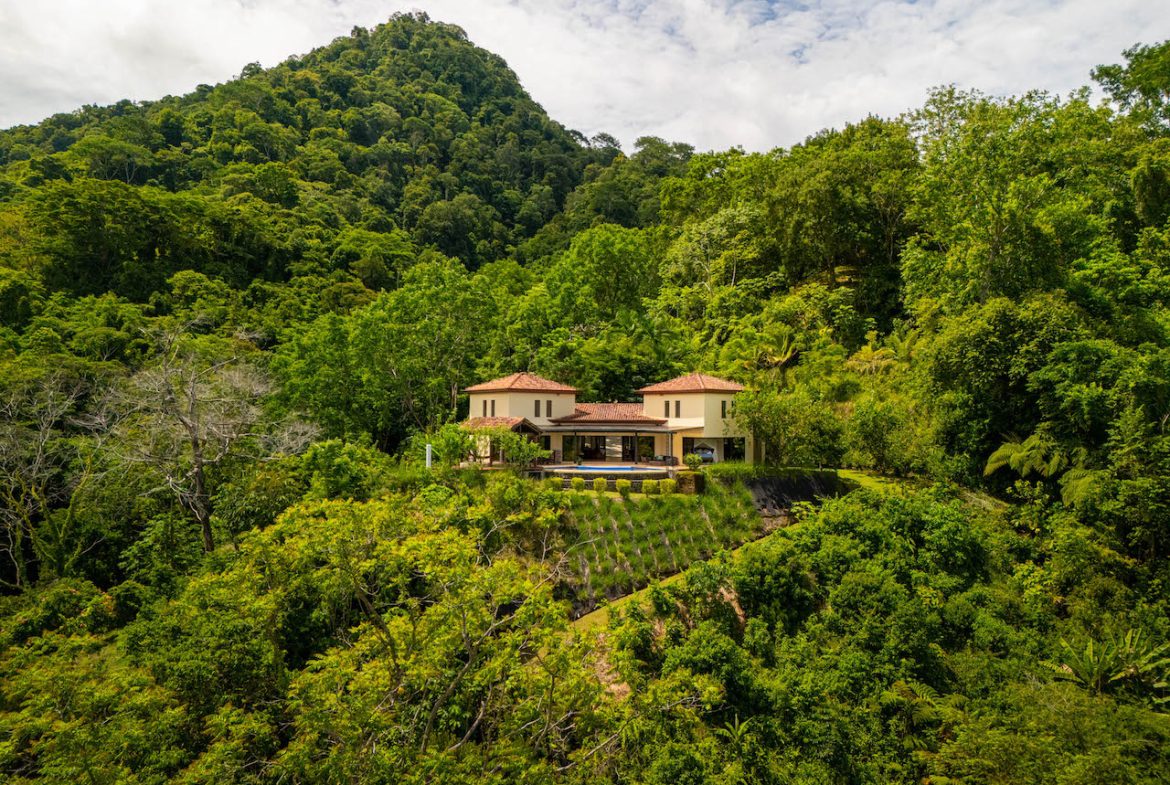 OCEAN, WATERFALL AND JUNGLE VIEWS – THREE HOMES AND FRUIT TREES – 71 ACRES, Uvita, Costa Rica — photo 6