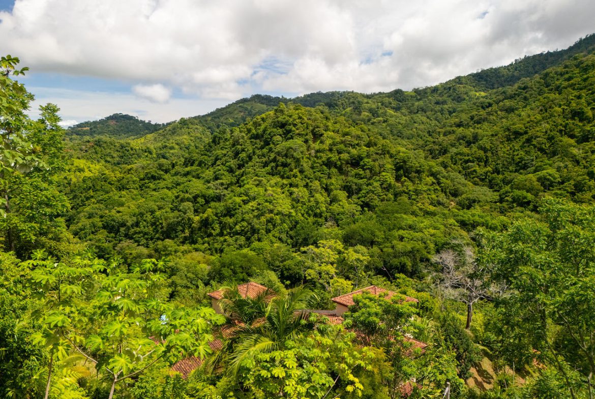 OCEAN, WATERFALL AND JUNGLE VIEWS – THREE HOMES AND FRUIT TREES – 71 ACRES, Uvita, Costa Rica — photo 7
