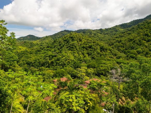 OCEAN, WATERFALL AND JUNGLE VIEWS – THREE HOMES AND FRUIT TREES – 71 ACRES, Ojochal, Costa Rica — photo 7
