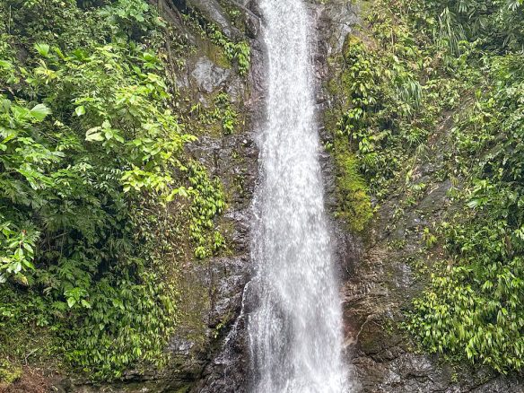 OCEAN, WATERFALL AND JUNGLE VIEWS – THREE HOMES AND FRUIT TREES – 71 ACRES, Ojochal, Costa Rica — photo 8