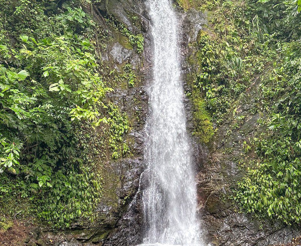 OCEAN, WATERFALL AND JUNGLE VIEWS – THREE HOMES AND FRUIT TREES – 71 ACRES, Uvita, Costa Rica — photo 8