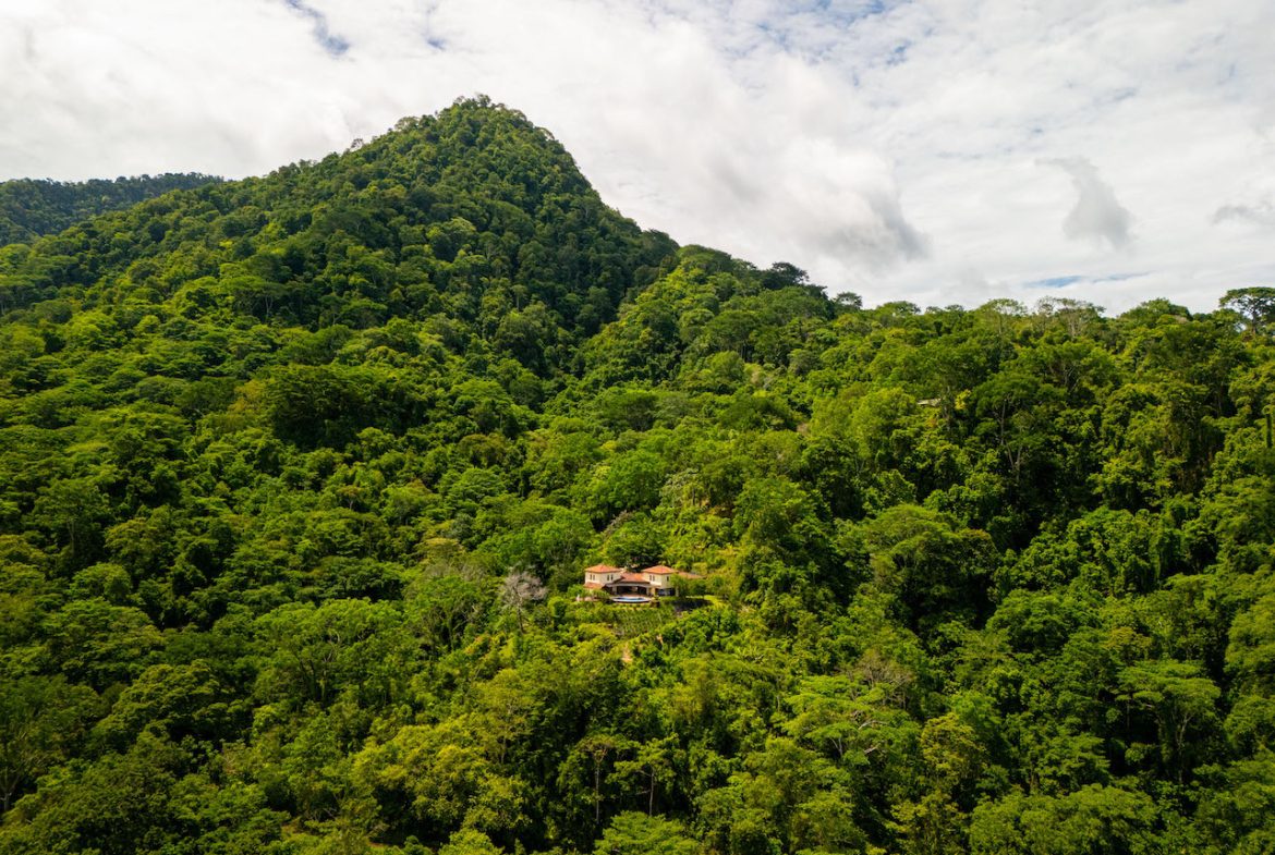 OCEAN, WATERFALL AND JUNGLE VIEWS – THREE HOMES AND FRUIT TREES – 71 ACRES, Uvita, Costa Rica — photo 5