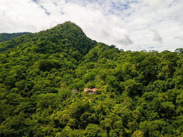 OCEAN, WATERFALL AND JUNGLE VIEWS – THREE HOMES AND FRUIT TREES – 71 ACRES, Ojochal, Costa Rica — photo 5