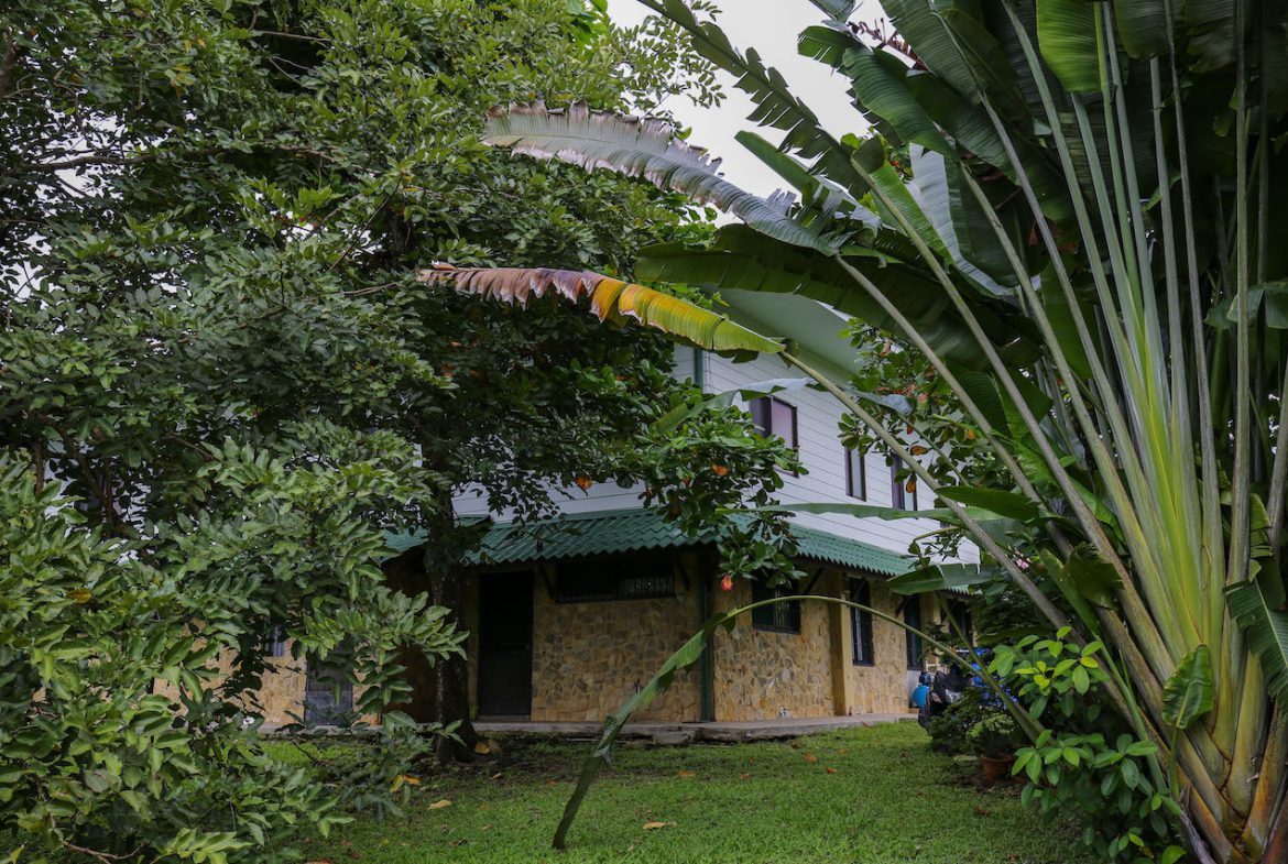 HOME AND APARTMENT WALKING DISTANCE TO THE BEACH – 1.3 ACRES, Uvita, Costa Rica — photo 7