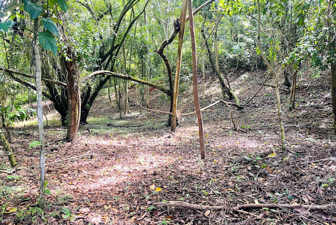 OJOCHAL PARTIAL OCEAN VIEW PROPERTY – GREAT PRICE!!