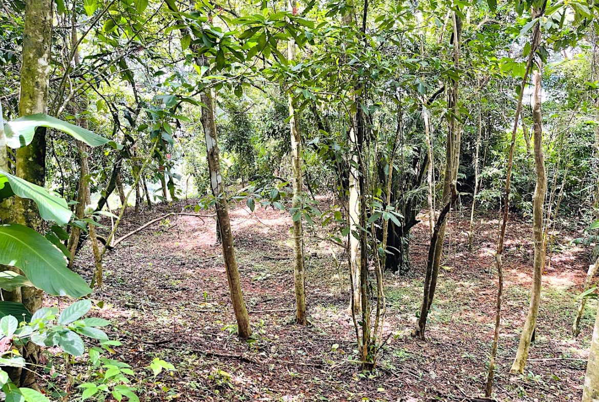 OJOCHAL PARTIAL OCEAN VIEW PROPERTY – GREAT PRICE!!
