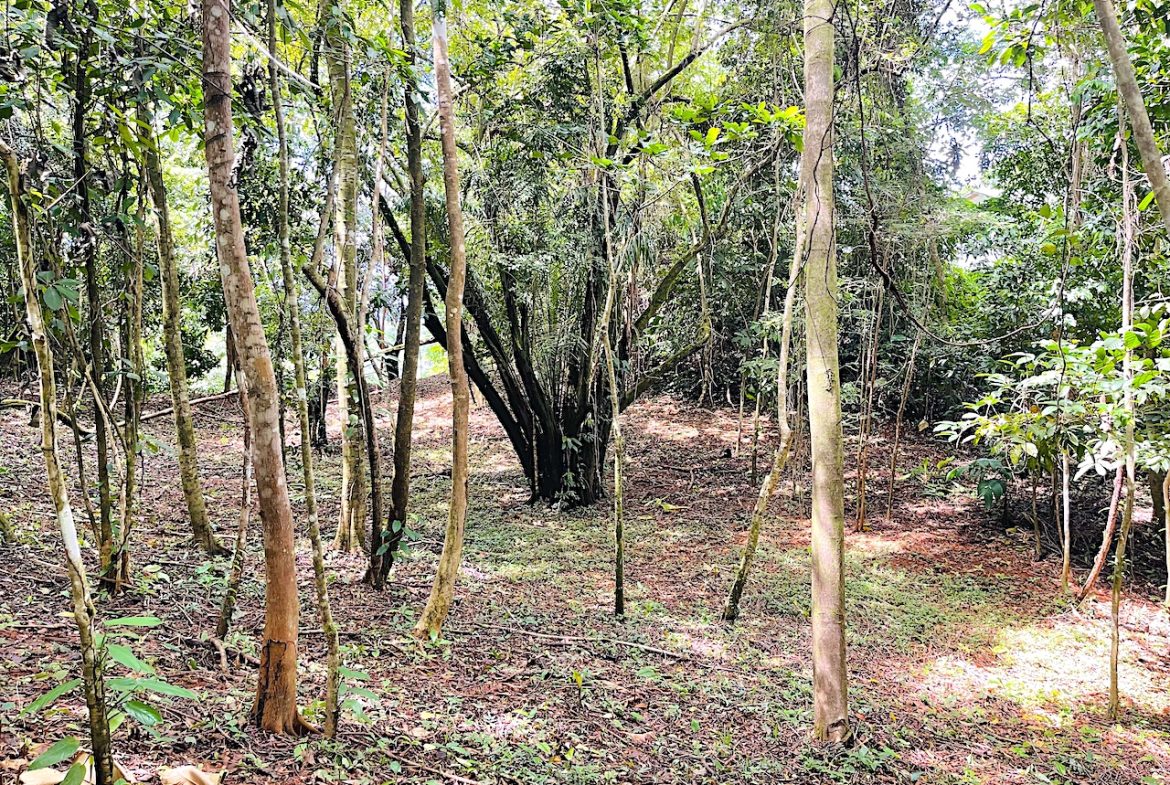 OJOCHAL PARTIAL OCEAN VIEW PROPERTY – GREAT PRICE!!