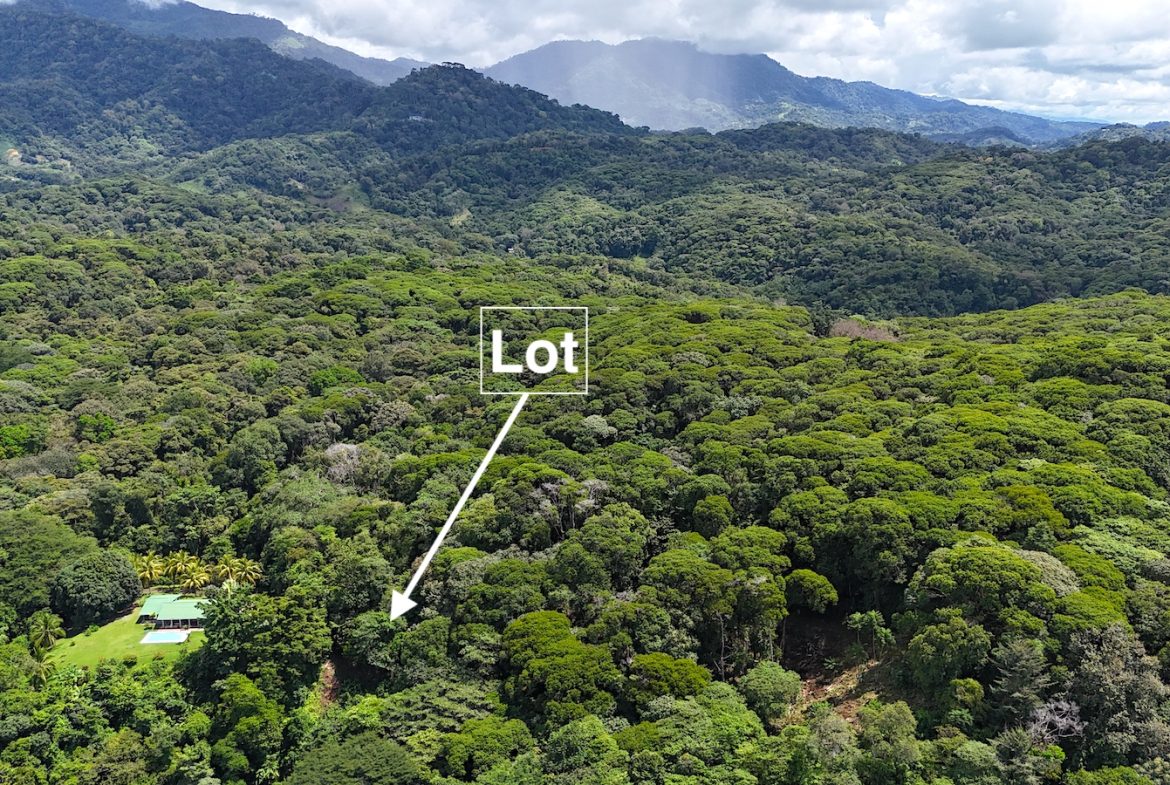 OJOCHAL PARTIAL OCEAN VIEW PROPERTY – GREAT PRICE!!