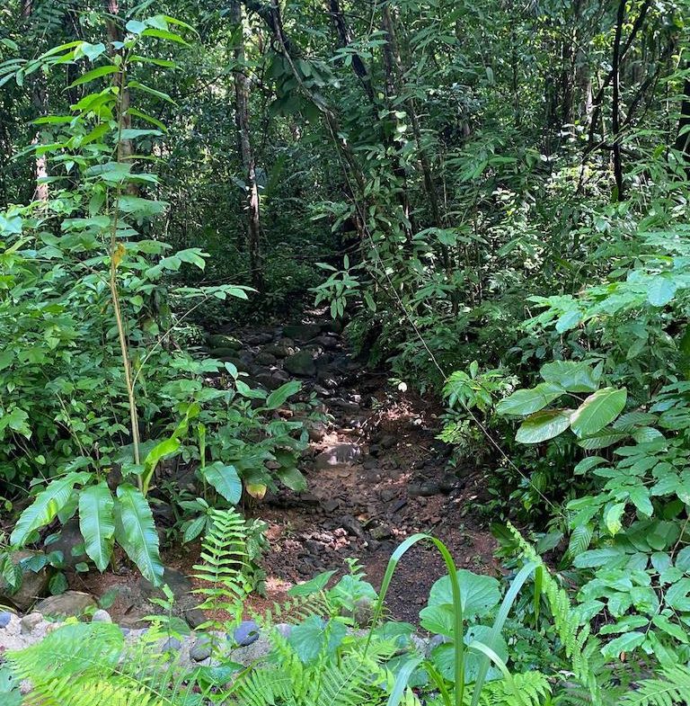 7.7 ACRE LOT WITH OCEAN AND MOUNTAIN VIEWS